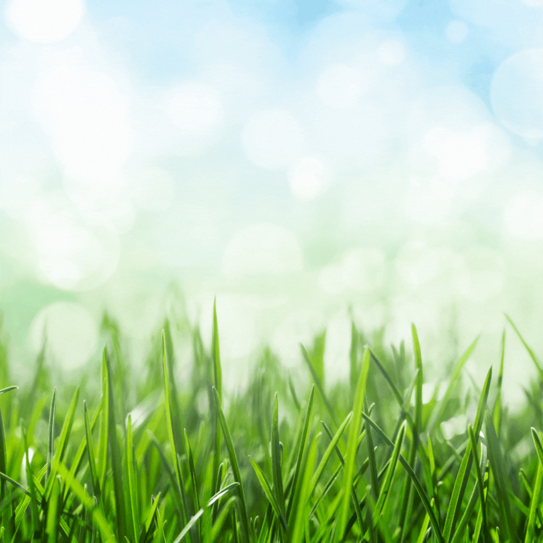 psp-premium-surface-protection-australia-luxury-commerical-fibre-protection-microseal-fiberprotector-premium-textile-protection-for-the-circular-economy-1